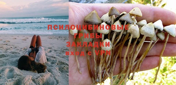 прущая мука Богданович
