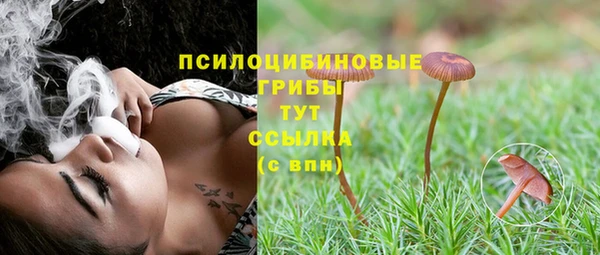ПСИЛОЦИБИНОВЫЕ ГРИБЫ Богородск