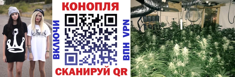 Канабис White Widow  Купить  Ардон 